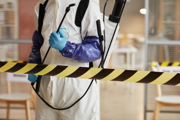 Professional Biohazard Cleanup technician working in Pinecrest, CA