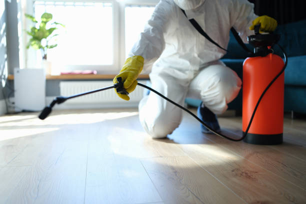 Reliable Biohazard Cleanup contractor in Pinecrest, CA by Dulley Family Biohazard Services
